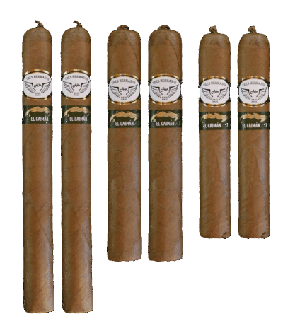 Offre découverte El Caimán